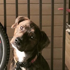 Meet your Posher, Zach